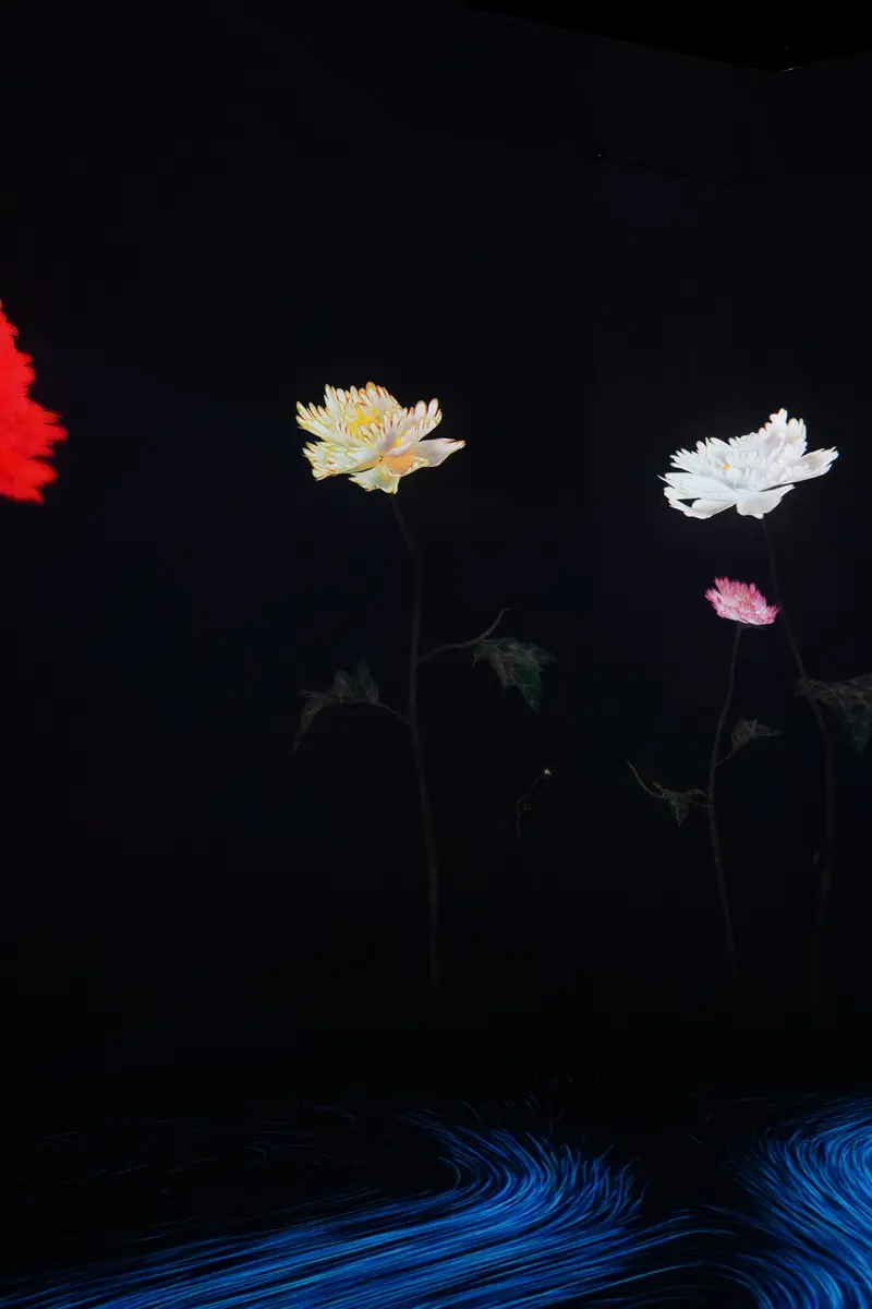 Pretty flower